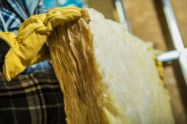 Best Commercial Insulation in Scenic, AZ